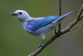 Habitación 10 Azulejo. / Room 10 – Azulejo